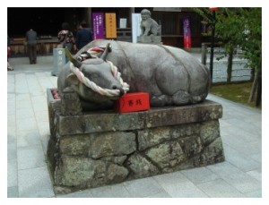 iwazuusi