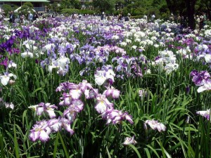 0406horikiri0215
