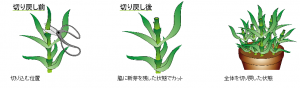 www.komeri.com-howto-html-03520