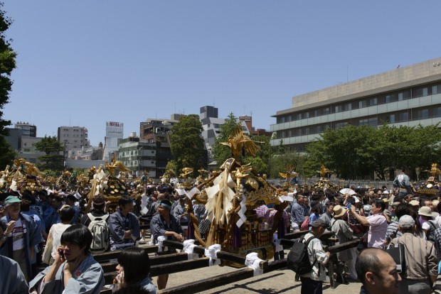 三社祭 宮出し