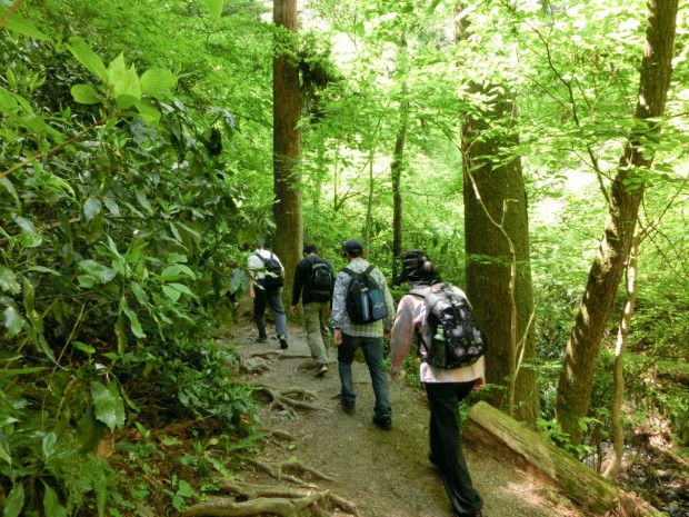 みどりの日昭和の日関係