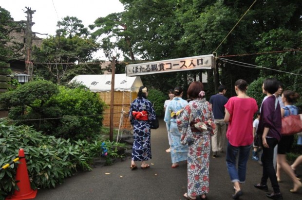 関東 ホタル 名所 2015