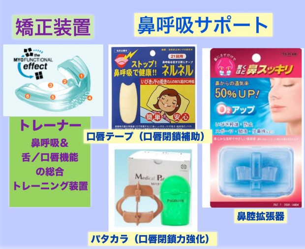 口呼吸 歯並び 顔