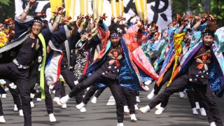 yosakoiソーラン祭り 批判