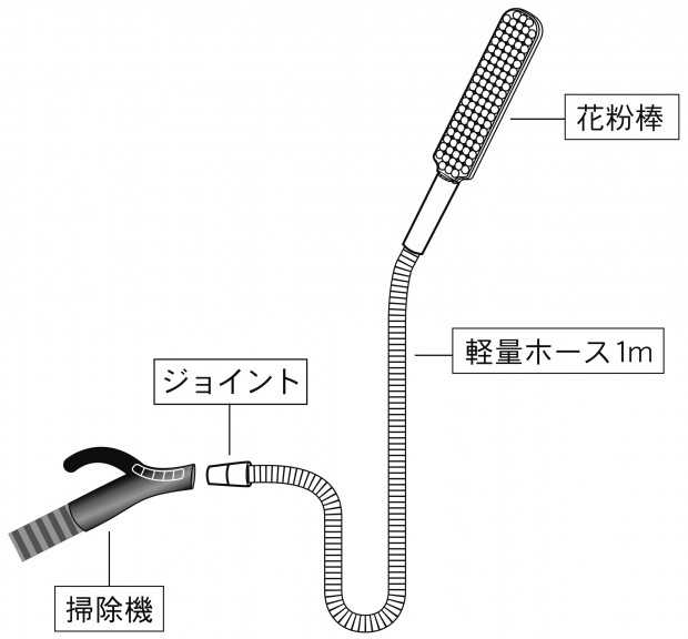 秋 アレルギー性鼻炎 花粉症